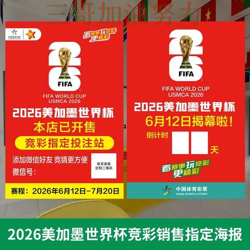 世界杯投注入口汇总告诉你：是否安全的正确方式（世界杯官方信息）