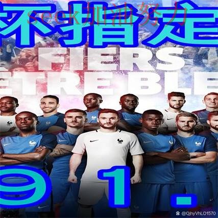 世界杯买球网站盘点：官网直达+直播全指南 - 世界杯官方信息